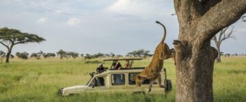 10 Day Kenya and Tanzania Luxury Safari Holiday