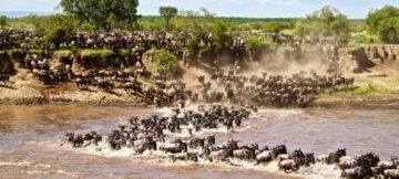 13 Day Highlights of Kenya and Tanzania Deluxe Safari