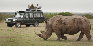 3 DayClassic Amboseli Safari