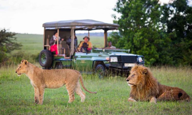 7 Day Amboseli and Masai Mara Safari