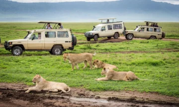 7 DayKenya Adventurer Safari