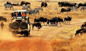 7 DayRemote Kenya Safari