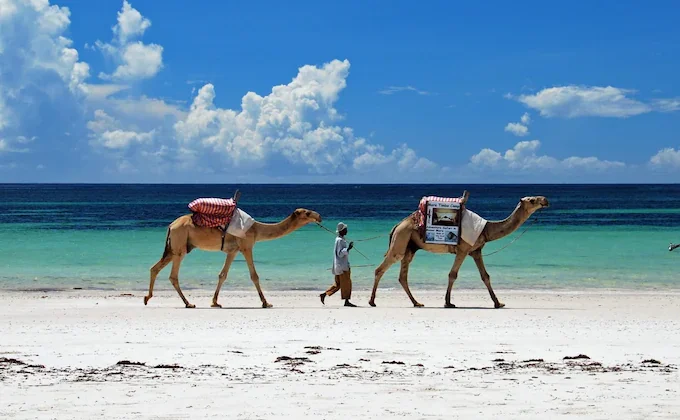 Best of Kenya Safari and Beach Holidays