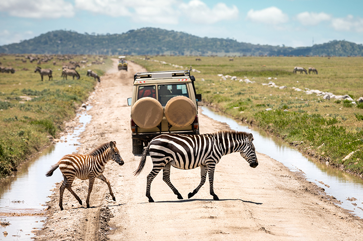 Best of Kenya and Tanzania Safaris