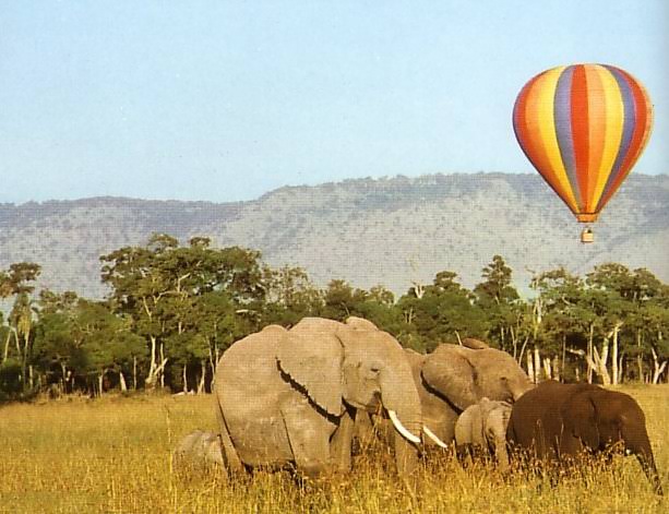 Classic Kenya Safari Holidays