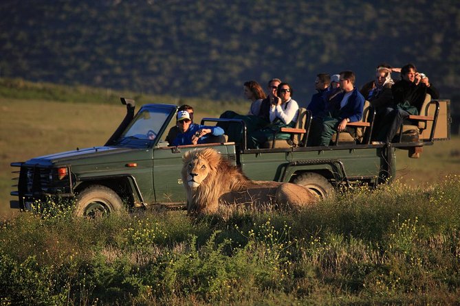 East Africa Safari Experience