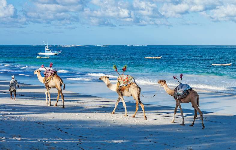 Guide to Tours and Attractions on the Swahili Coast. Kenya