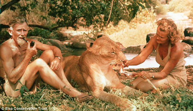 Joy and George Adamson
