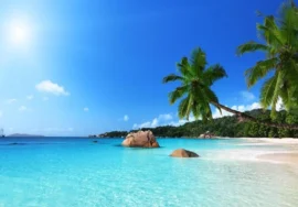 5 Day Classic Kenya Beach Vacation