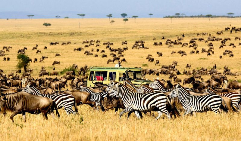 Kenya and Tanzania East Africa Safari Trips