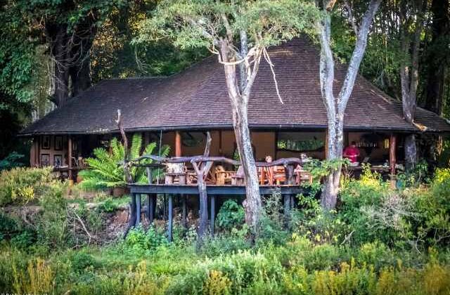 Kitich Forest Camp