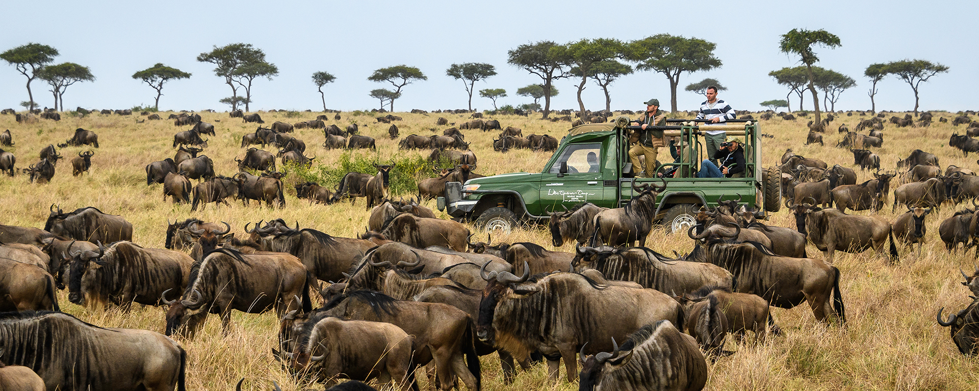 Little Known Migration of the Masai Mara