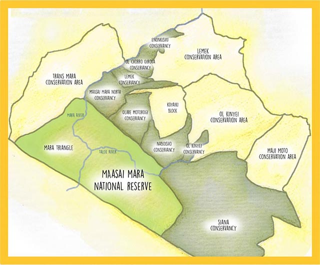 Masai Mara National Reserve and Conservancies