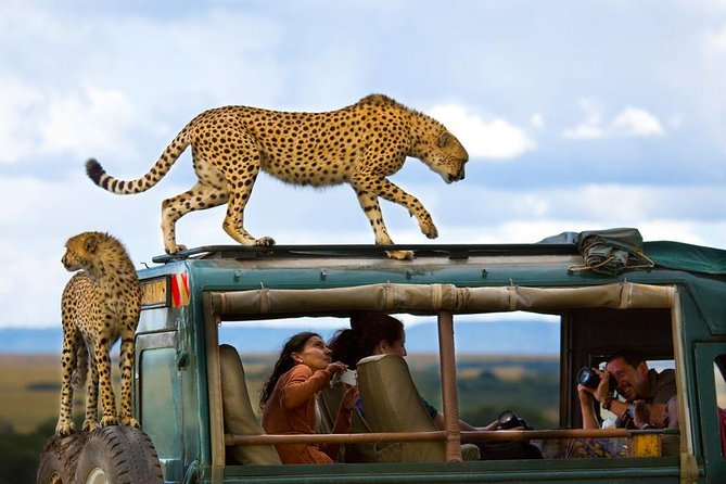 Why Safari in Kenya?