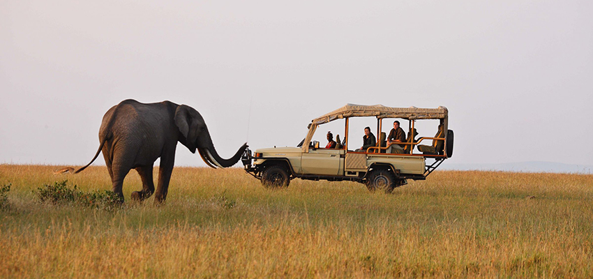 Masai Mara Tours and Lodges