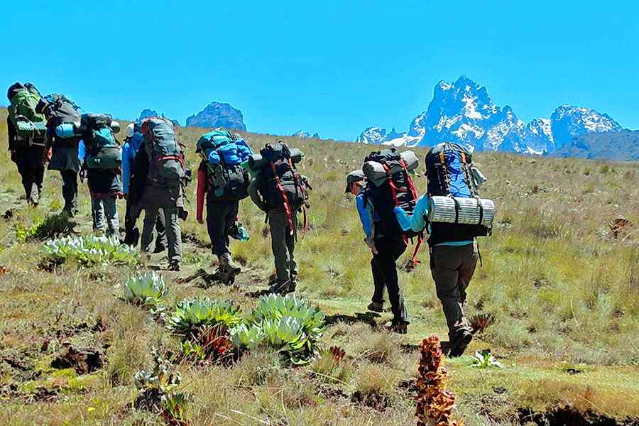 Mount Kenya Hiking Trails