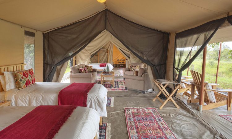 Ol Pejeta Bush Camp