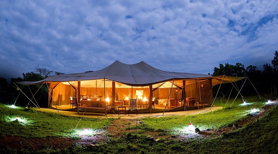 Porini Lion Camp