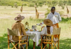 East Africa Romance Safari