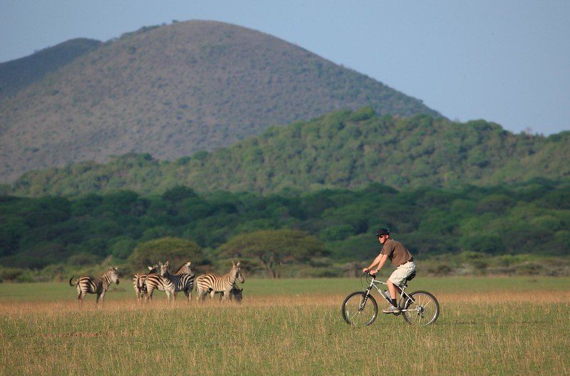 Safari in Chyulu Hills