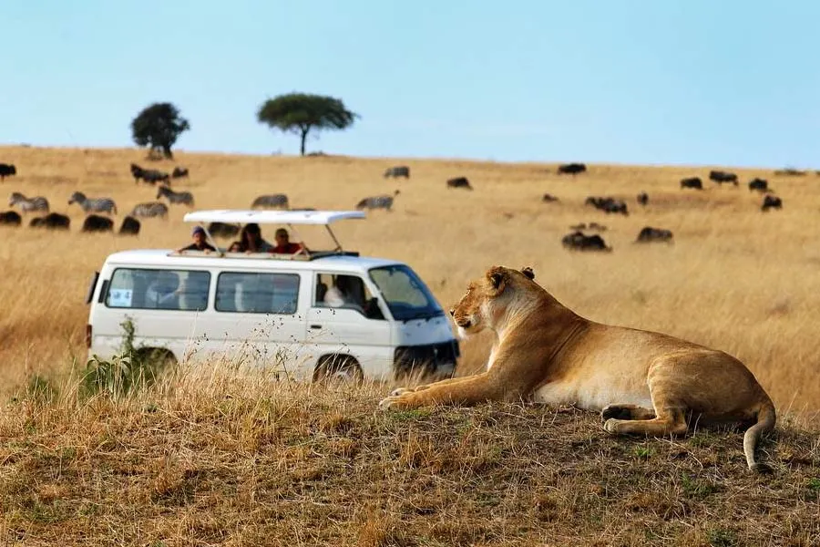 Planning Your Safari in Kenya