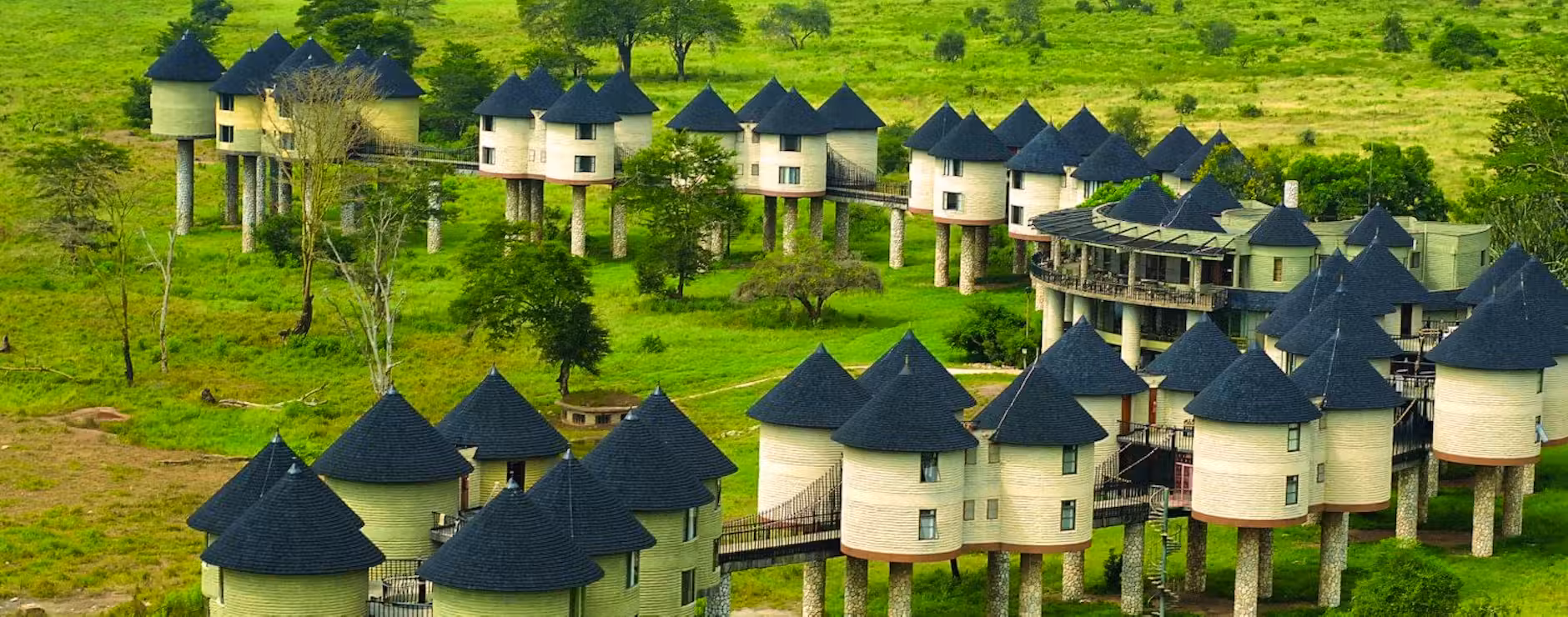 Salt Lick Safari Lodge