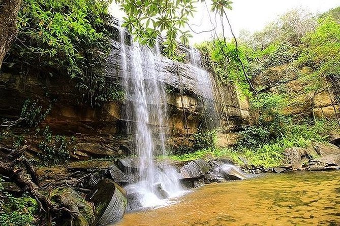 Shimba Hills National Reserve Destination Guide