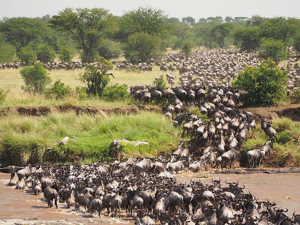 The Great Migration