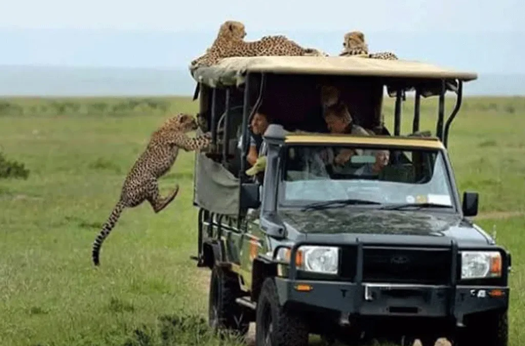 Things to Do While Travelling Around Kenya